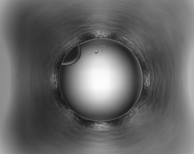 X0000096630666200802051108