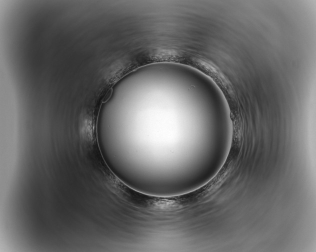 X0000096630669200802051108