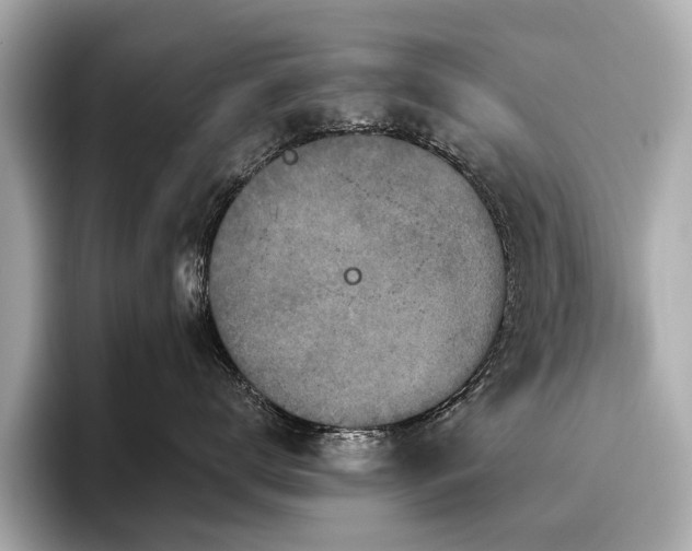 X0000096630672200802051108