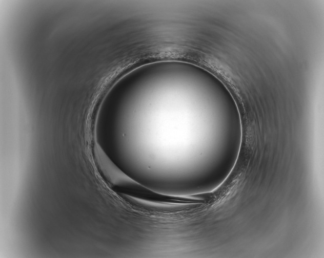 X0000096630673200802051107