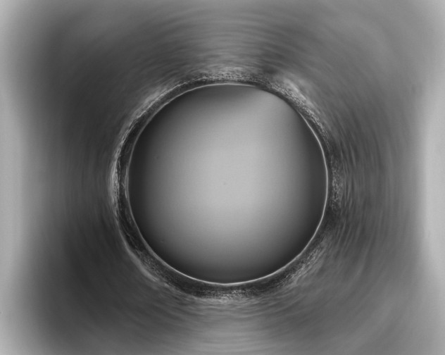 X0000096630674200802051107
