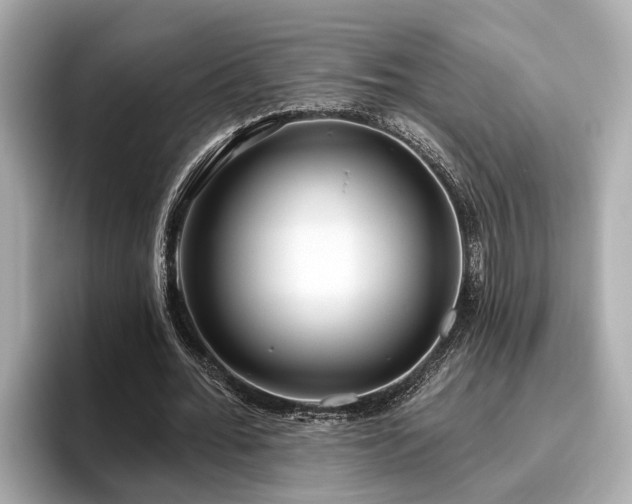 X0000096630676200802051107