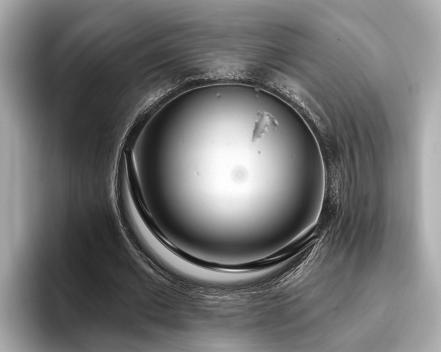 X0000096630677200802051107