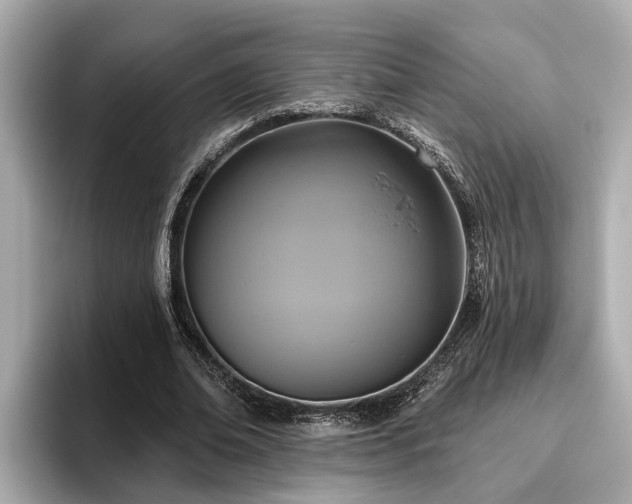 X0000096630678200802051107