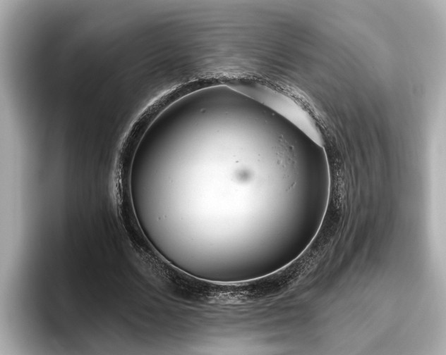 X0000096630680200802051107