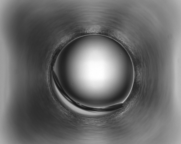 X0000096630681200802051107
