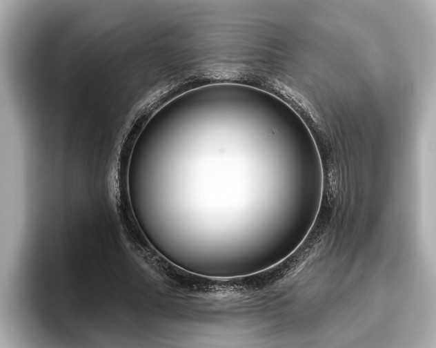 X0000096630682200802051107