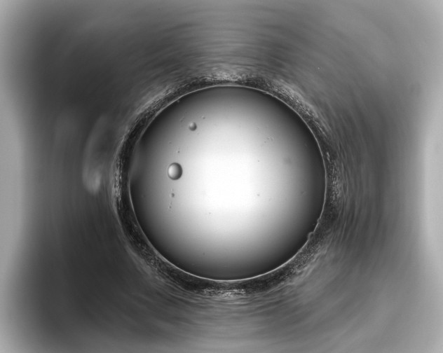 X0000096630683200802051107
