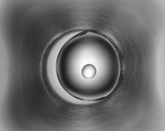 X0000096630684200802051107