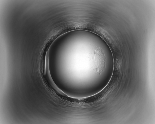 X0000096630685200802051107