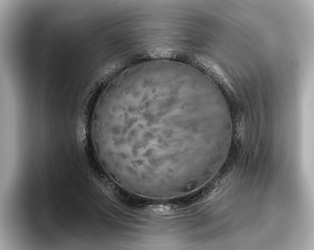X0000096630687200802051107