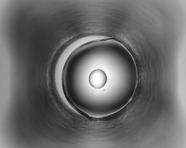 X0000096630688200802051107