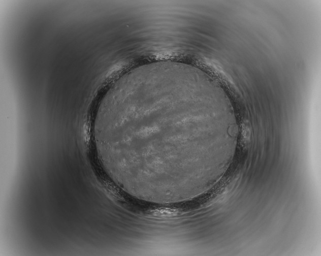 X0000096630691200802051107