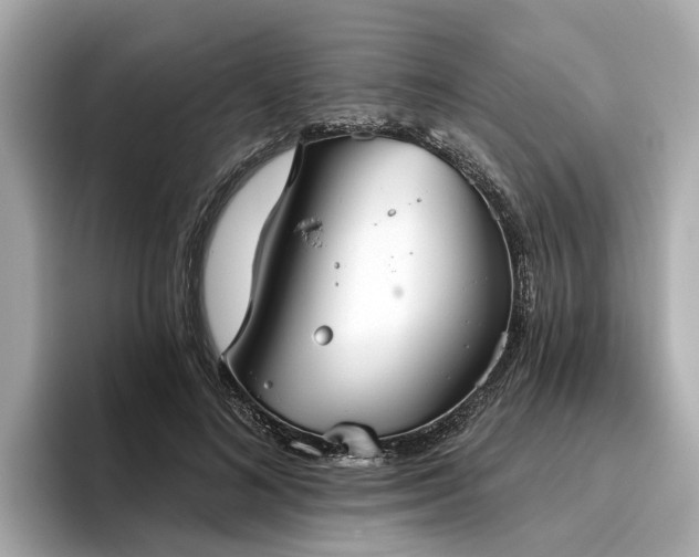 X0000096630692200802051107