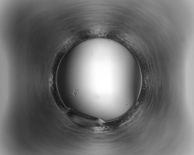 X0000096630693200802051107