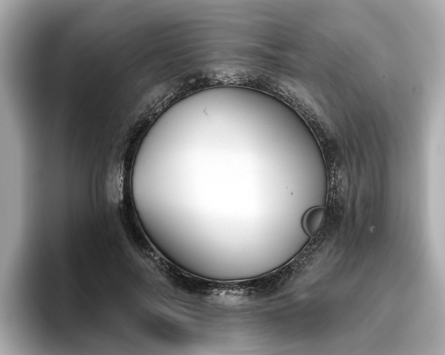 X0000096630694200802051107