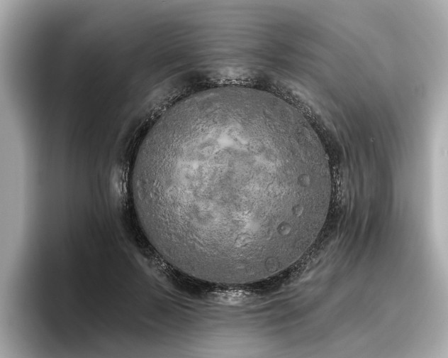 X0000096630695200802051107