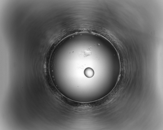 X0000096630696200802051107