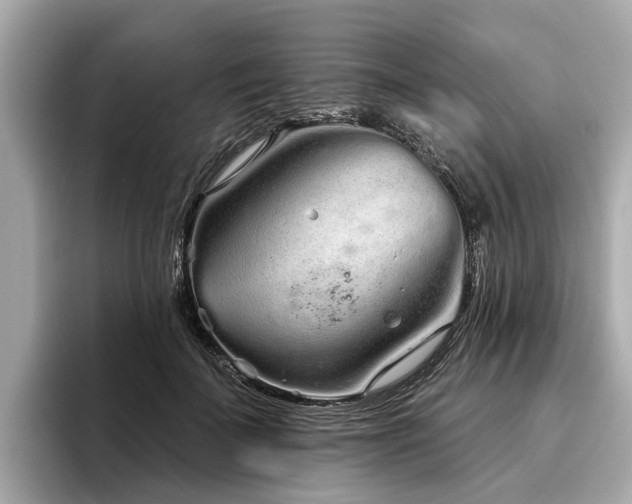 X0000096630699200802051107