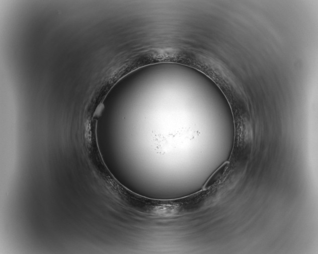 X0000096630700200802051107