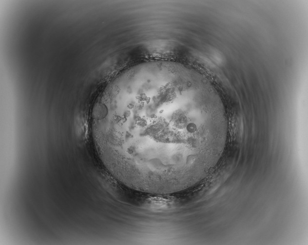 X0000096630703200802051107