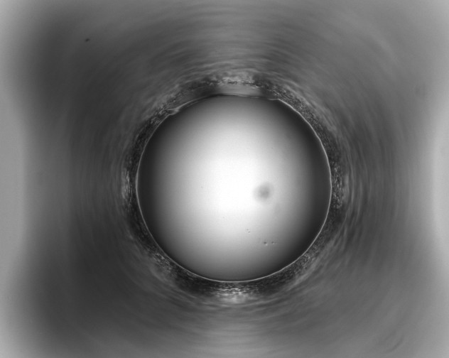 X0000096630704200802051107