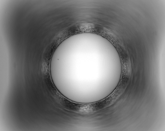 X0000096630705200802051107