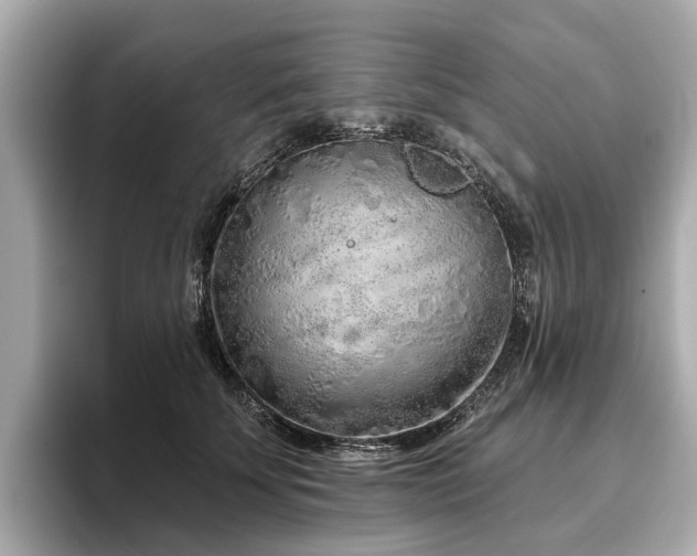 X0000096630707200802051107