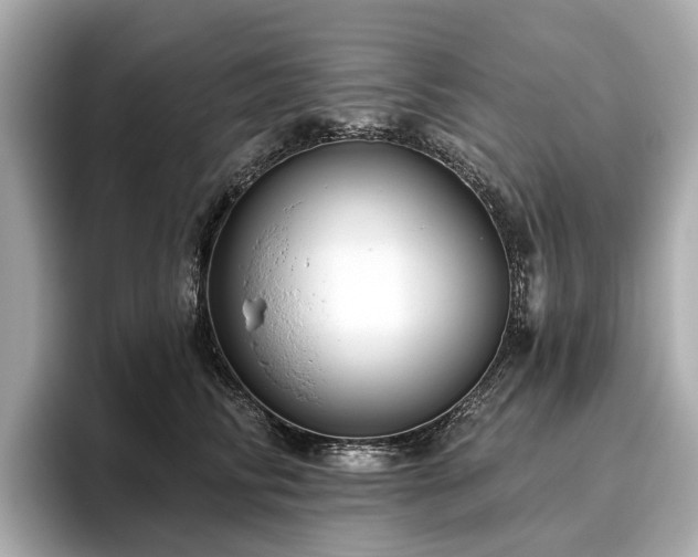 X0000096630710200802051107
