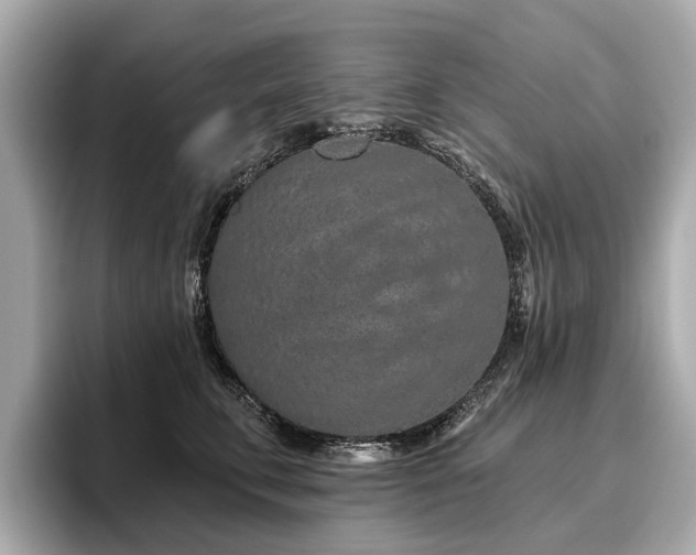 X0000096630711200802051107
