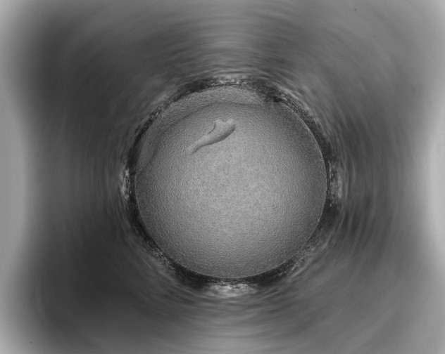 X0000096630712200802051107