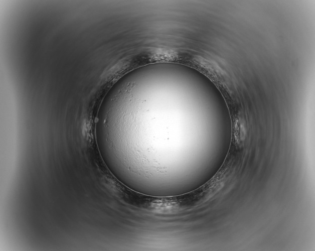 X0000096630714200802051107