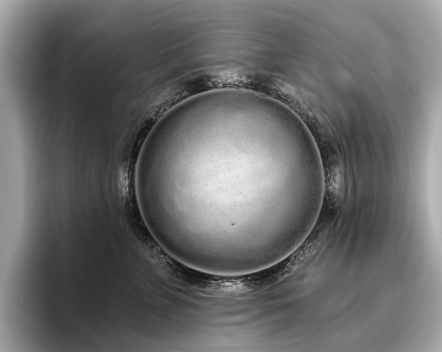 X0000096630715200802051107