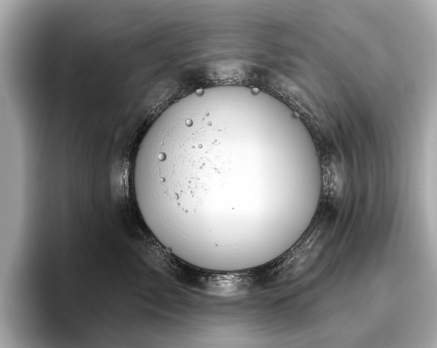 X0000096630717200802051107