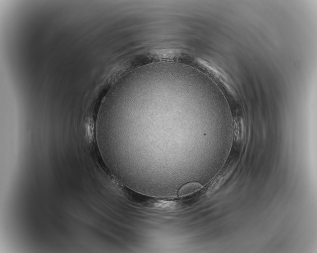 X0000096630718200802051107