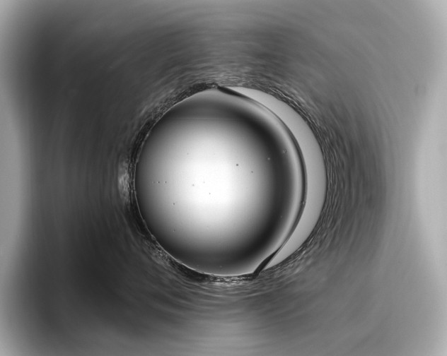 X0000096630720200802051107