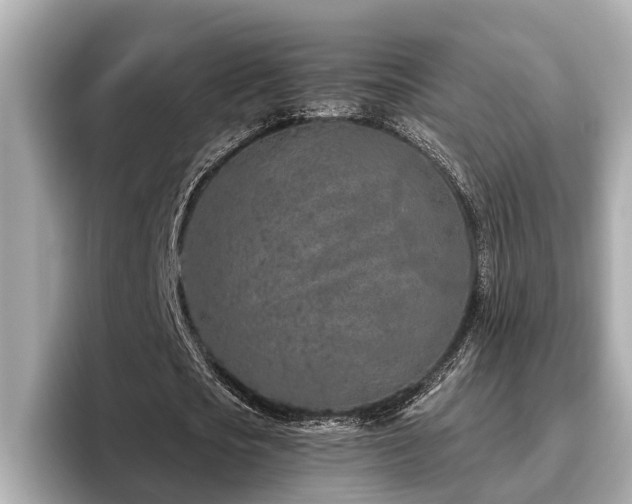 X0000096630721200802051106
