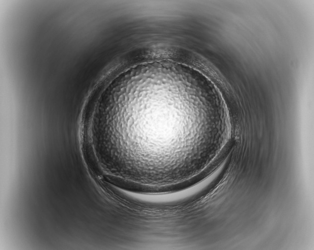 X0000096630722200802051106