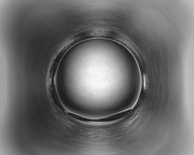 X0000096630723200802051106
