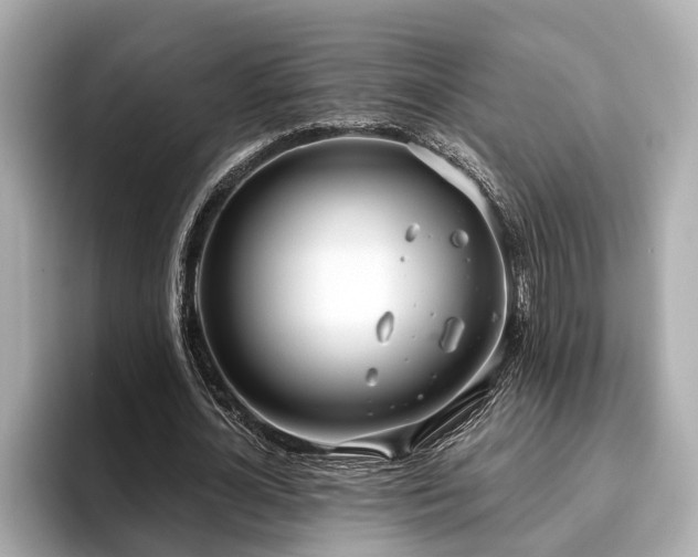 X0000096630724200802051106