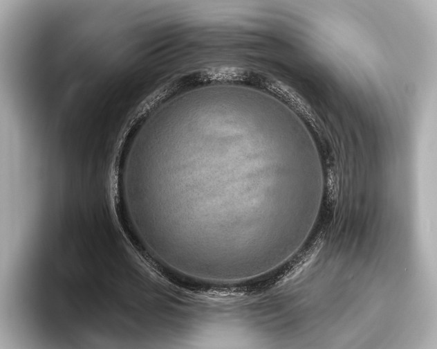 X0000096630725200802051106