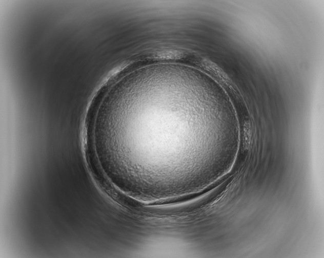 X0000096630726200802051106