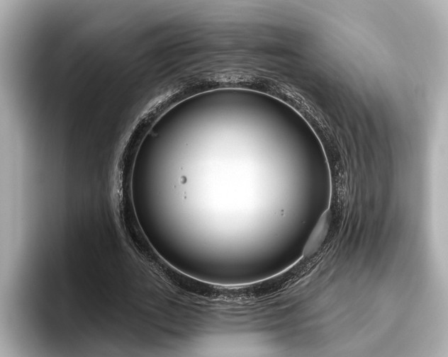 X0000096630727200802051106