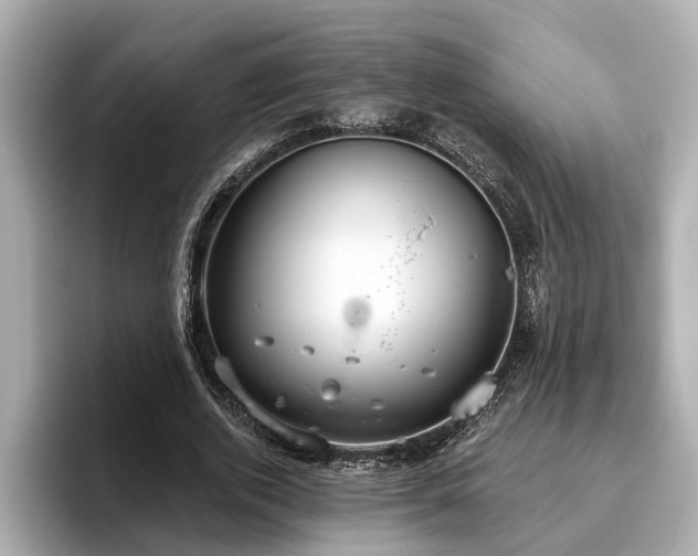 X0000096630728200802051106