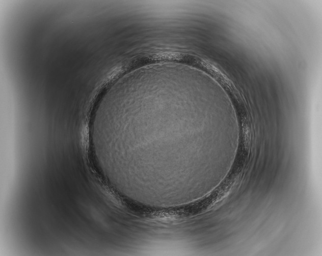 X0000096630729200802051106