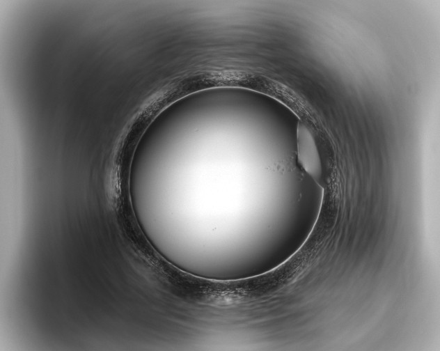X0000096630731200802051106