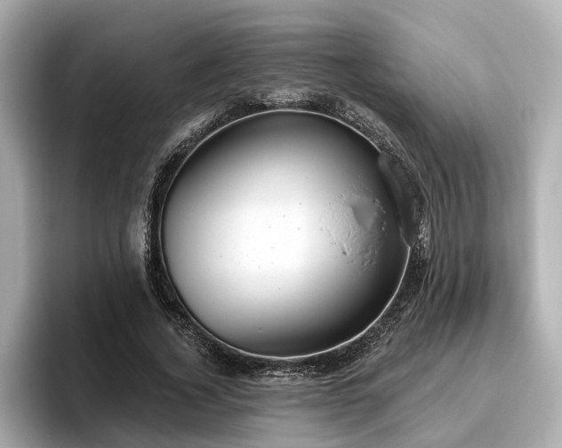 X0000096630732200802051106