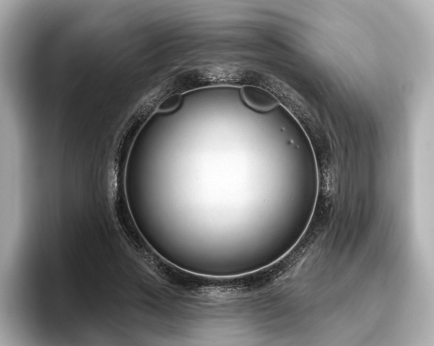 X0000096630733200802051106