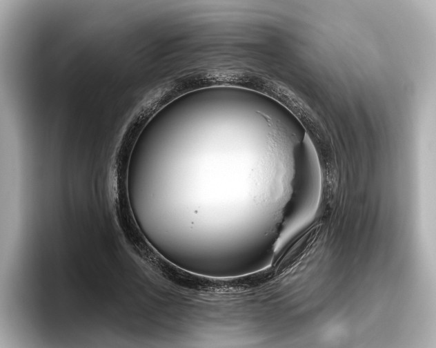 X0000096630734200802051106