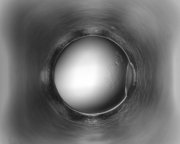 X0000096630735200802051106